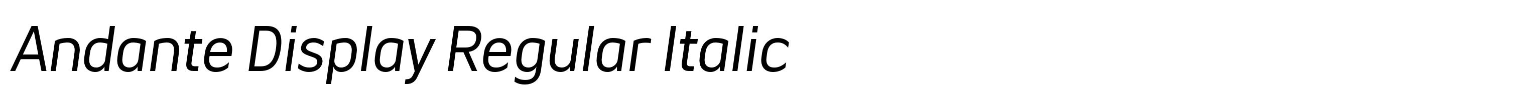 Andante Display Regular Italic